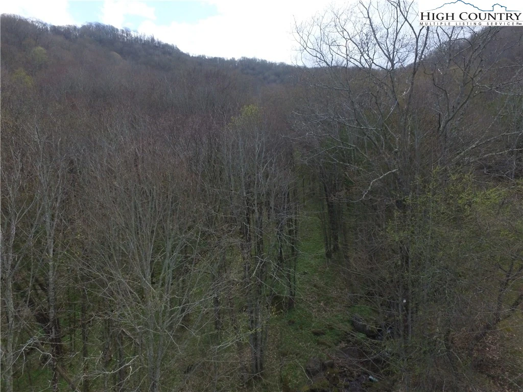 Image number 1 for the current listing