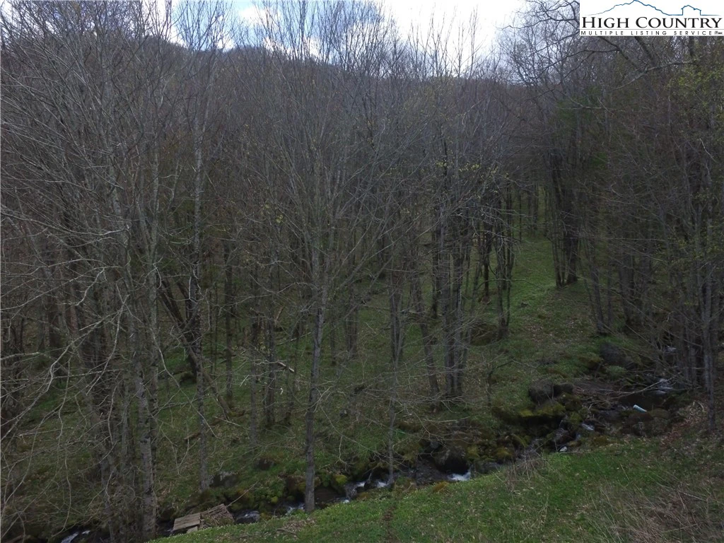 Image number 4 for the current listing
