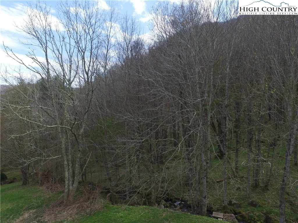 Image number 5 for the current listing