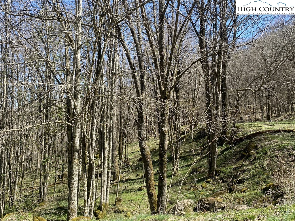Image number 9 for the current listing