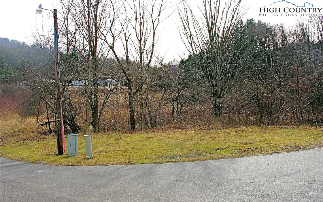 Image number 4 for the current listing