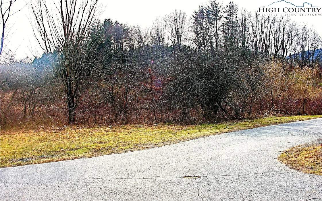 Image number 5 for the current listing
