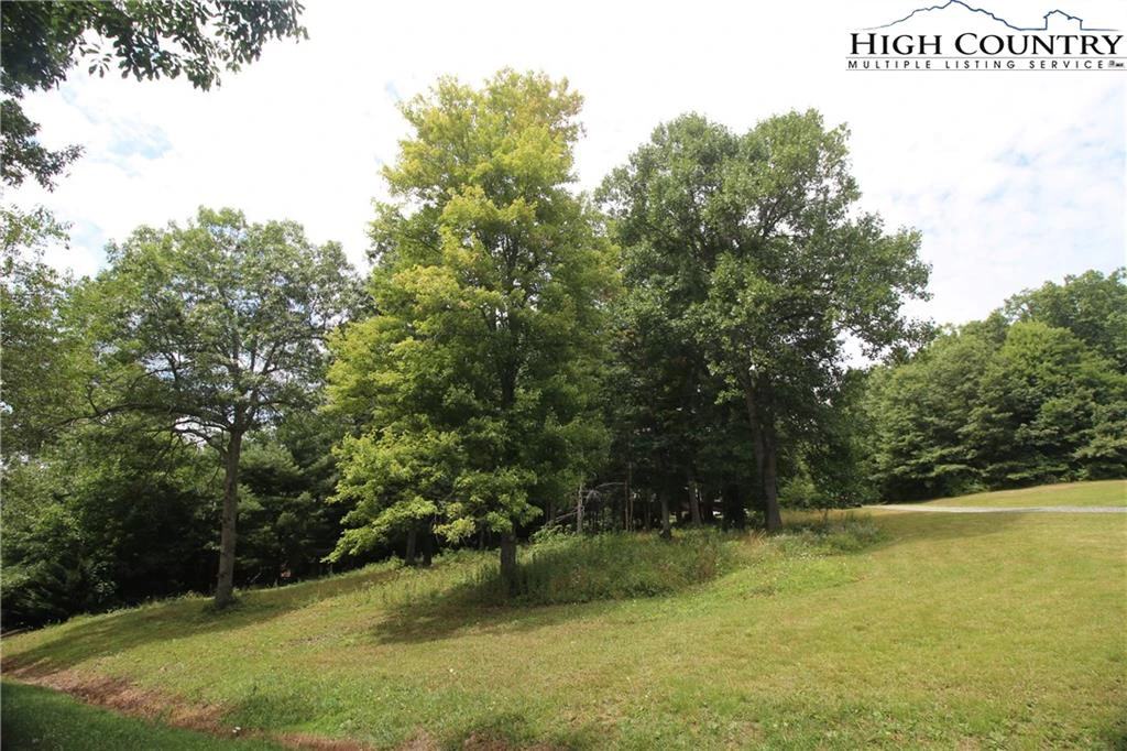 Image number 1 for the current listing