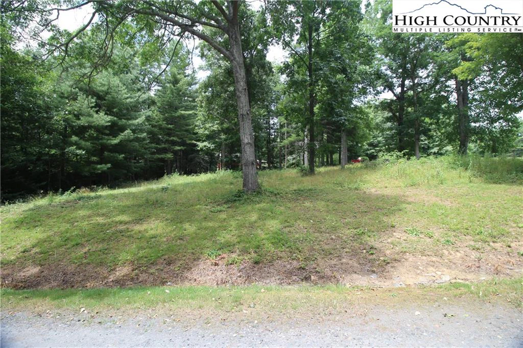 Image number 3 for the current listing