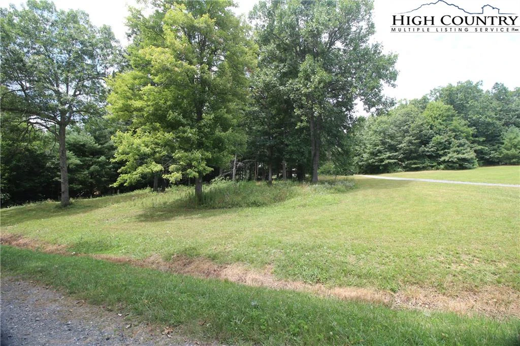 Image number 4 for the current listing