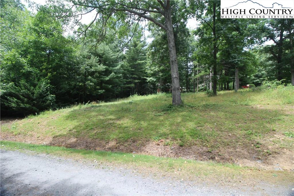 Image number 5 for the current listing