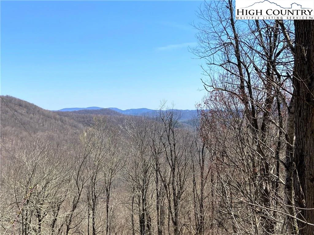 Image number 1 for the current listing