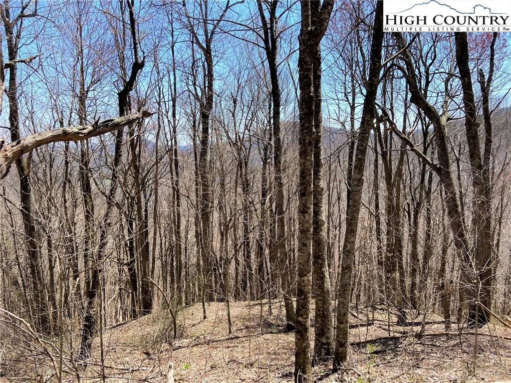 Image number 3 for the current listing