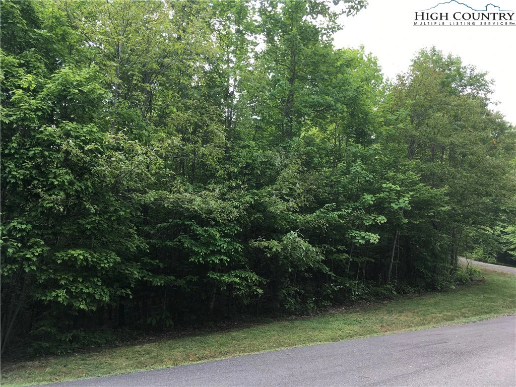 Image number 11 for the current listing