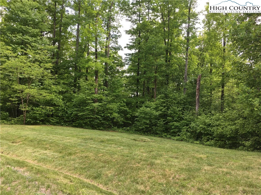 Image number 4 for the current listing