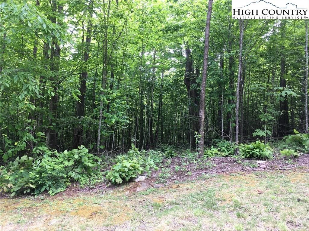 Image number 14 for the current listing