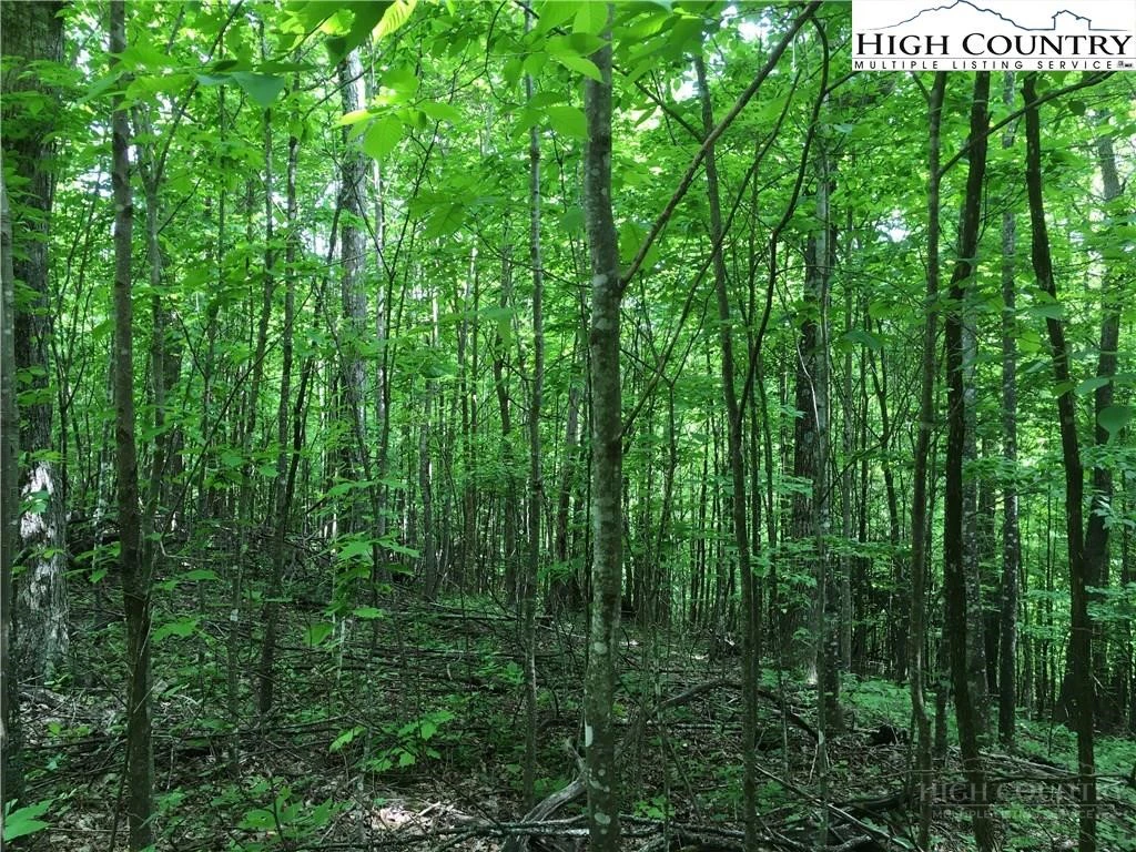 Image number 18 for the current listing