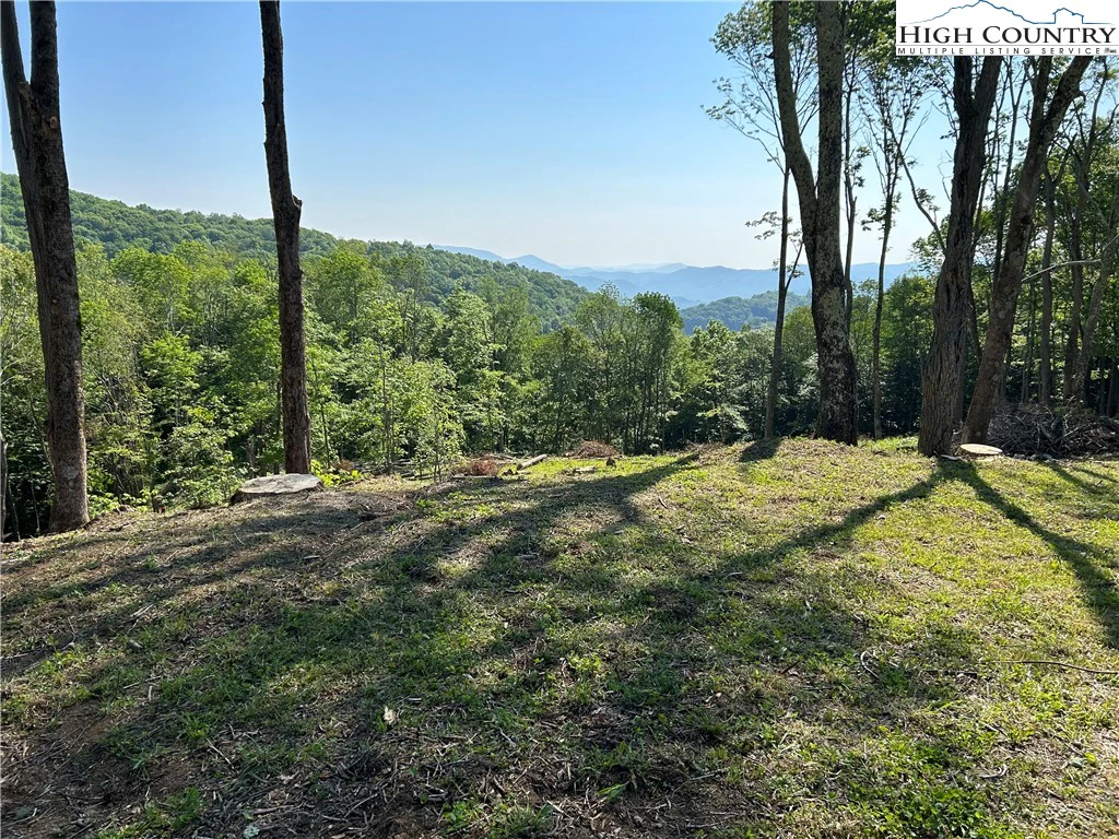 Image number 3 for the current listing