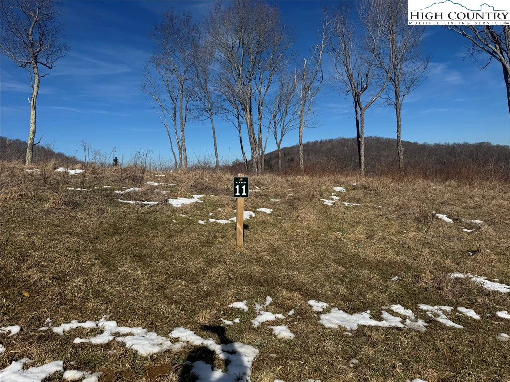 Image number 6 for the current listing