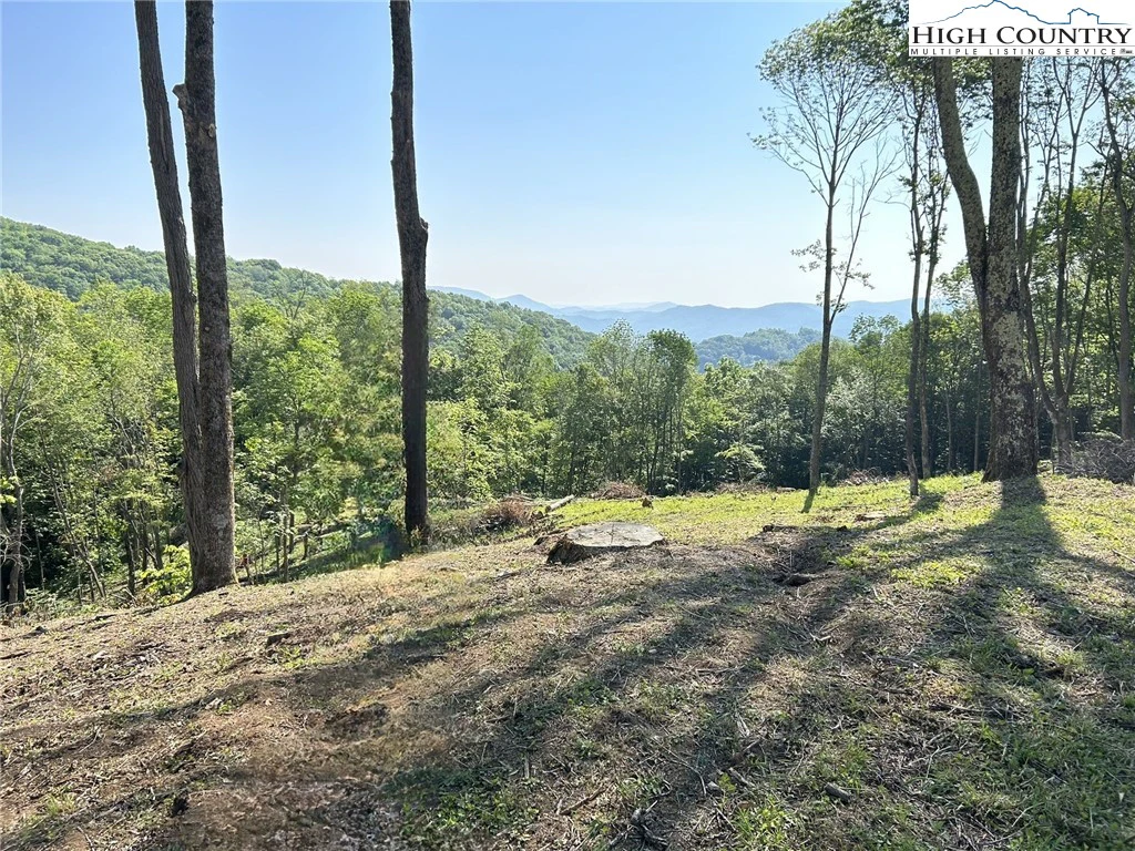 Image number 1 for the current listing