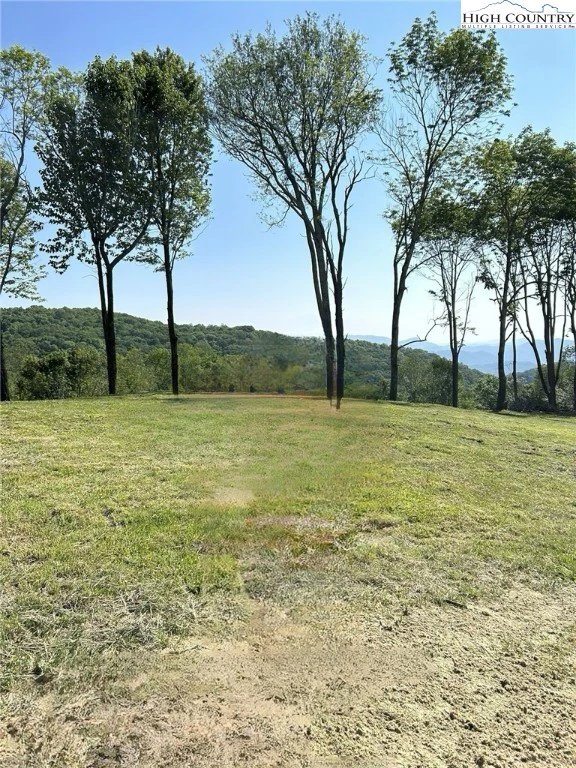 Image number 11 for the current listing