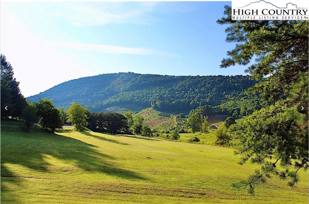 Image number 1 for the current listing