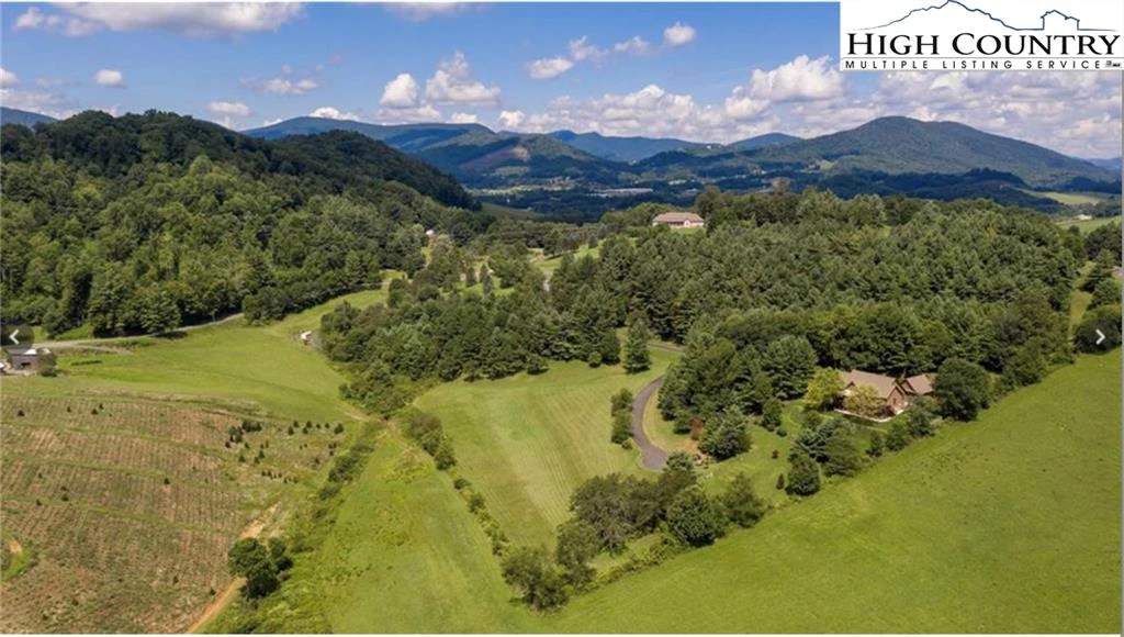 Image number 11 for the current listing