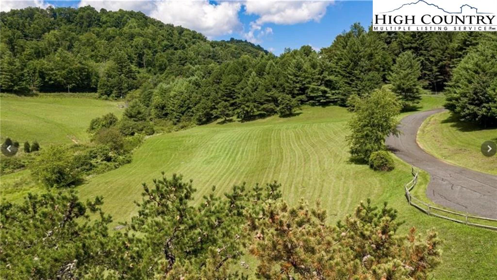 Image number 7 for the current listing