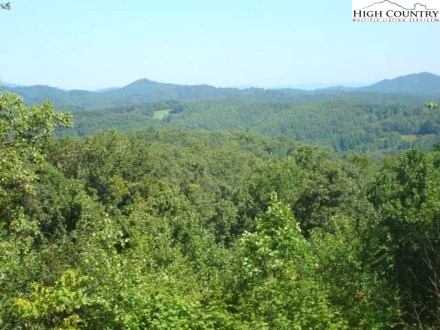 Image number 4 for the current listing