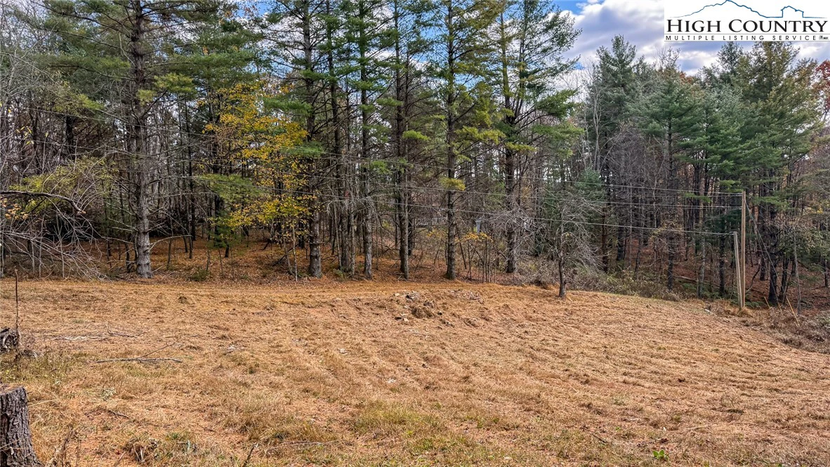 Image number 1 for the current listing