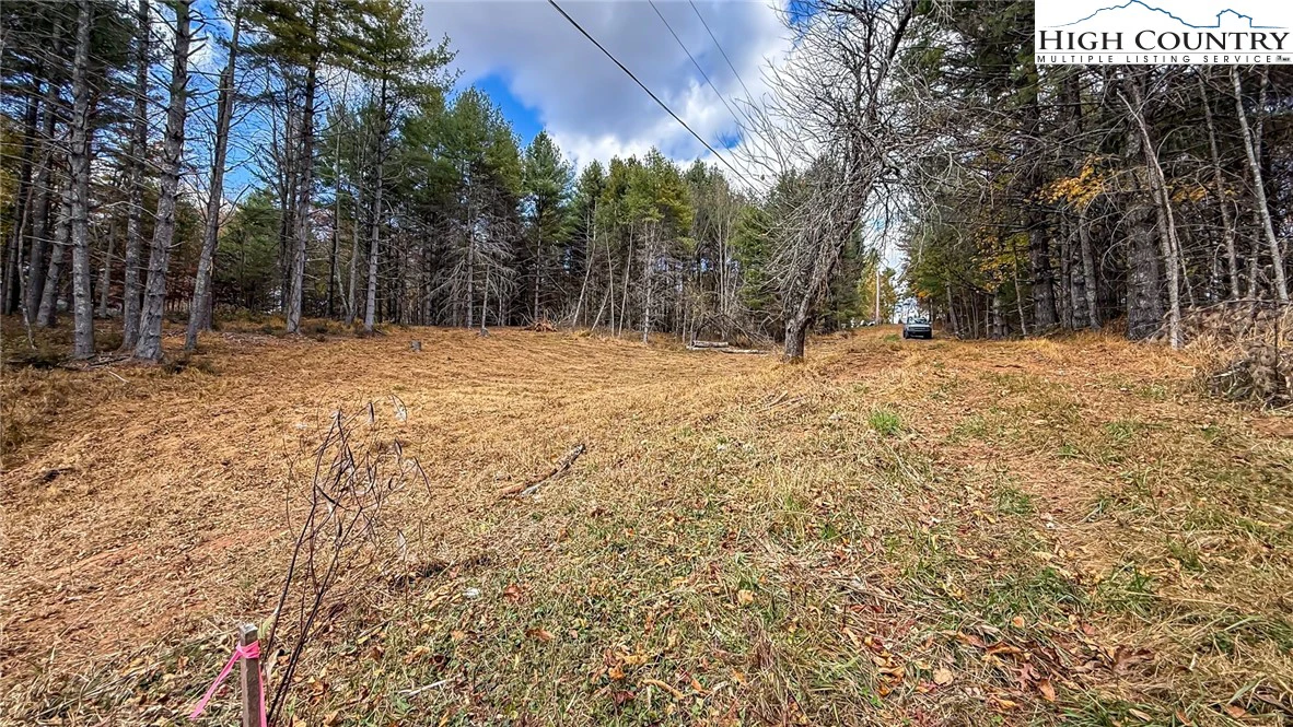 Image number 4 for the current listing