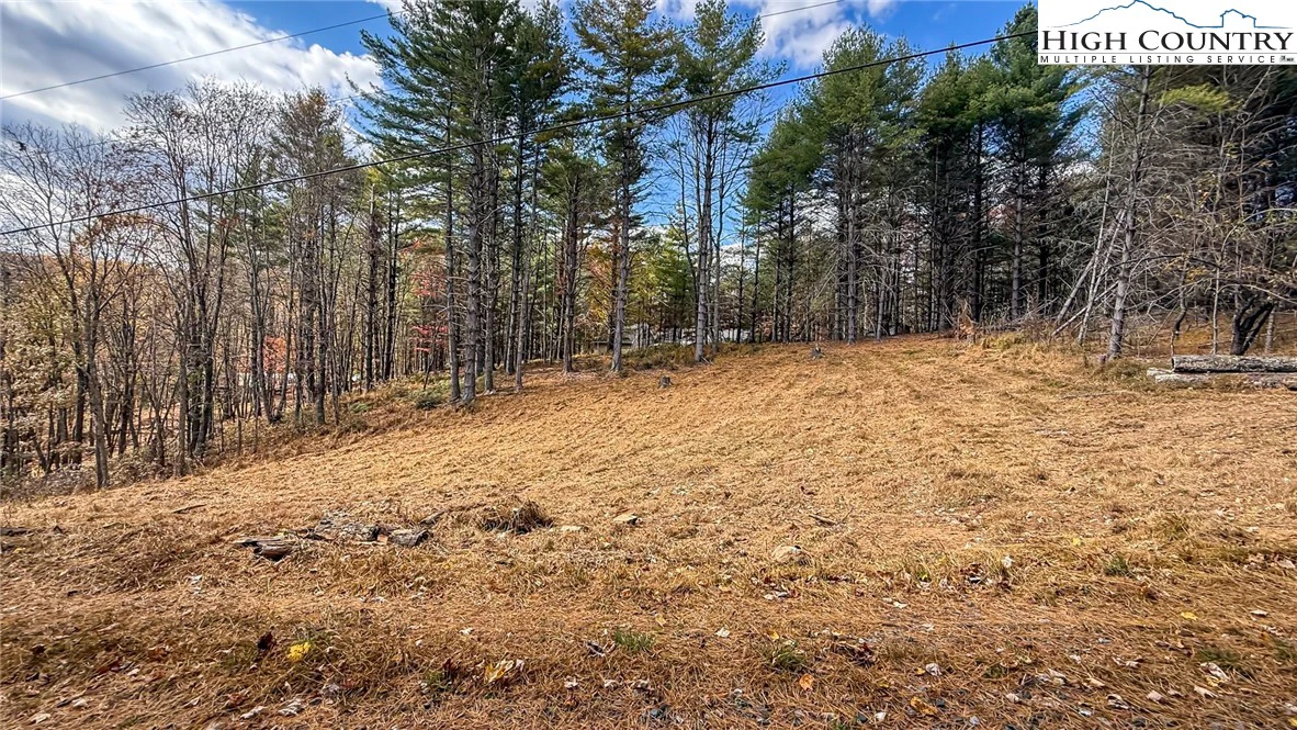 Image number 5 for the current listing