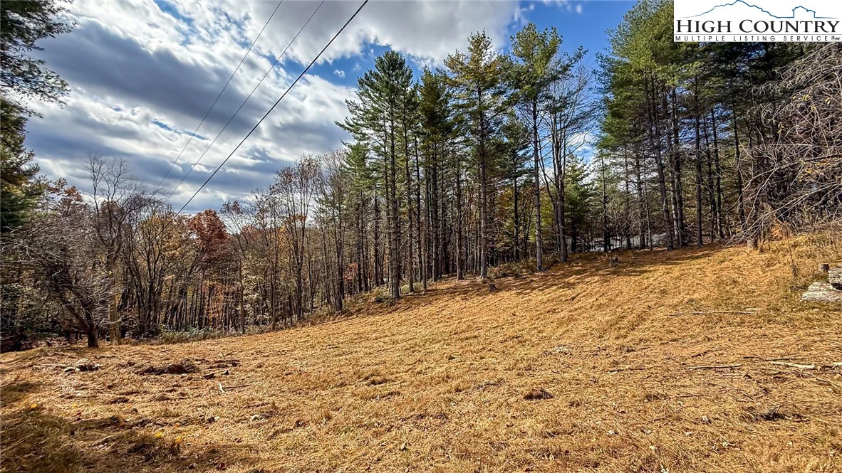 Image number 6 for the current listing