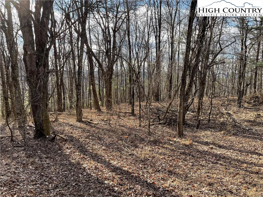 Image number 4 for the current listing