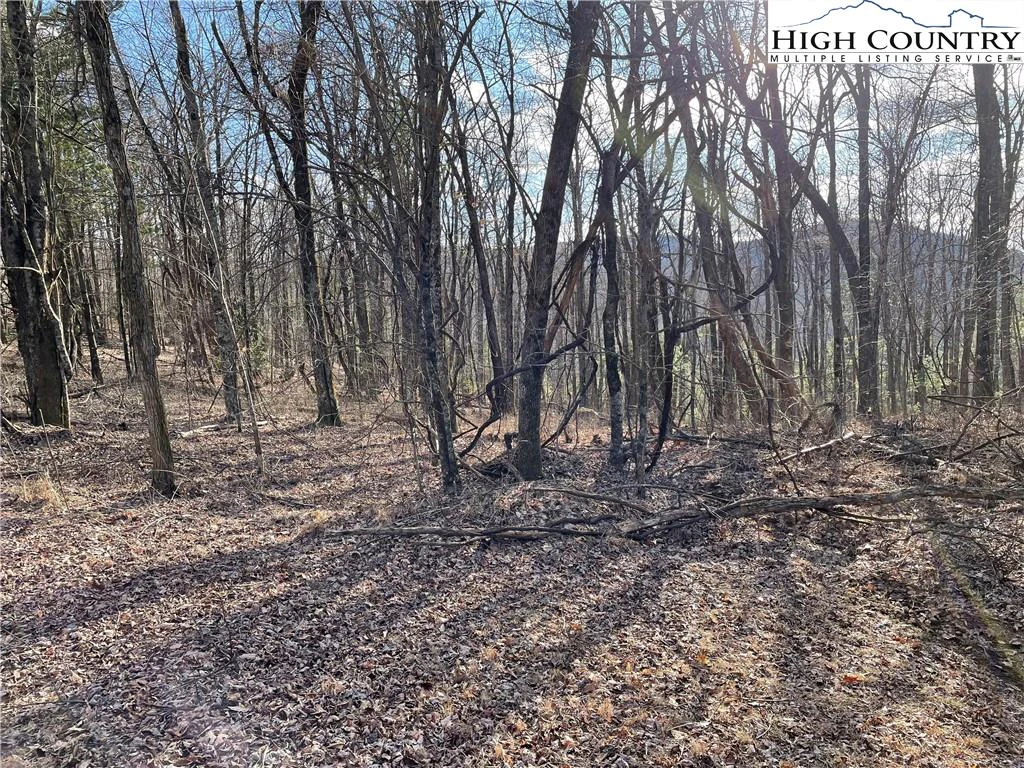 Image number 6 for the current listing