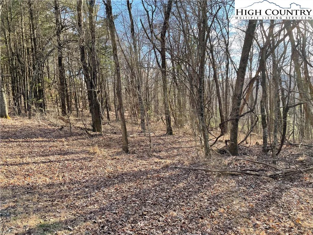 Image number 7 for the current listing