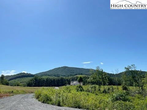 Image number 1 for the current listing