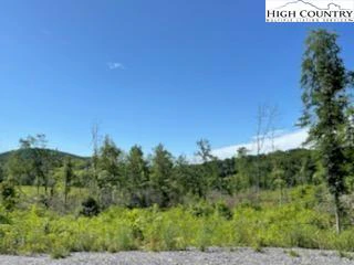 Image number 8 for the current listing