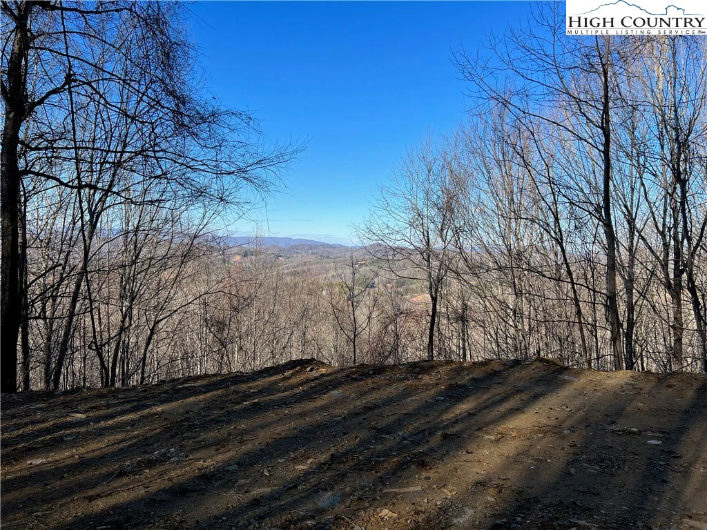 Image number 4 for the current listing