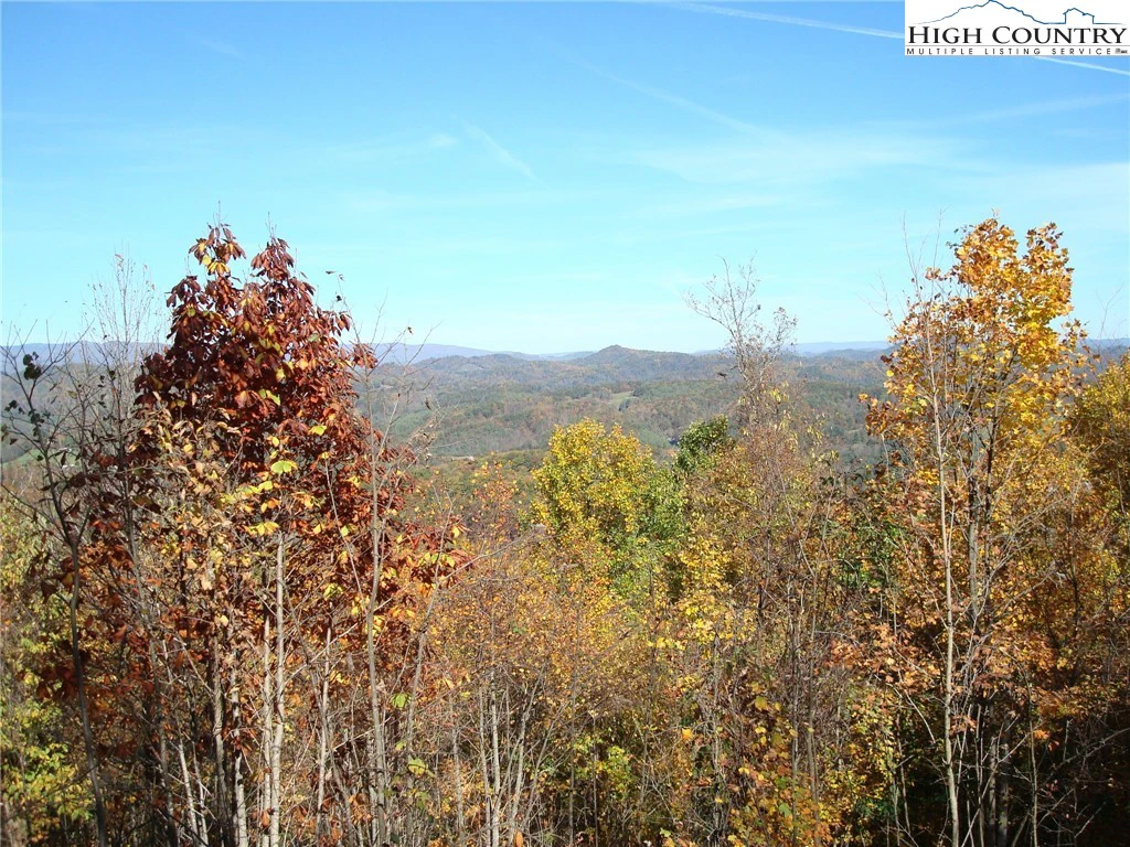 Image number 1 for the current listing