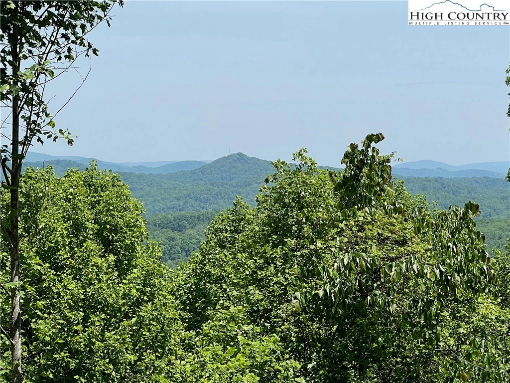 Image number 3 for the current listing