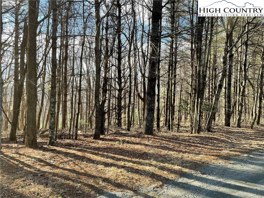 Image number 1 for the current listing