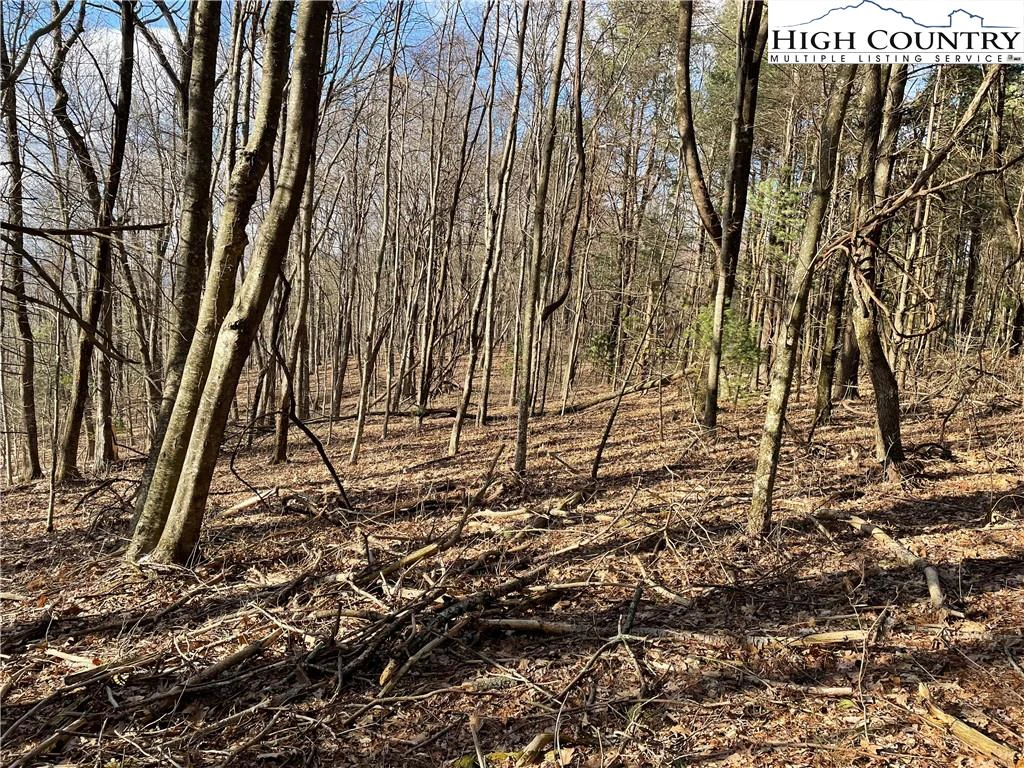 Image number 3 for the current listing