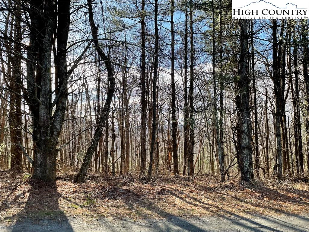 Image number 4 for the current listing