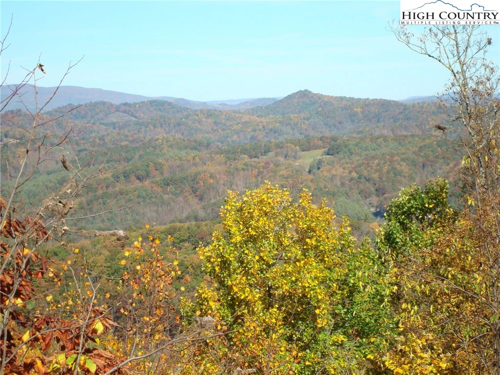 Image number 1 for the current listing