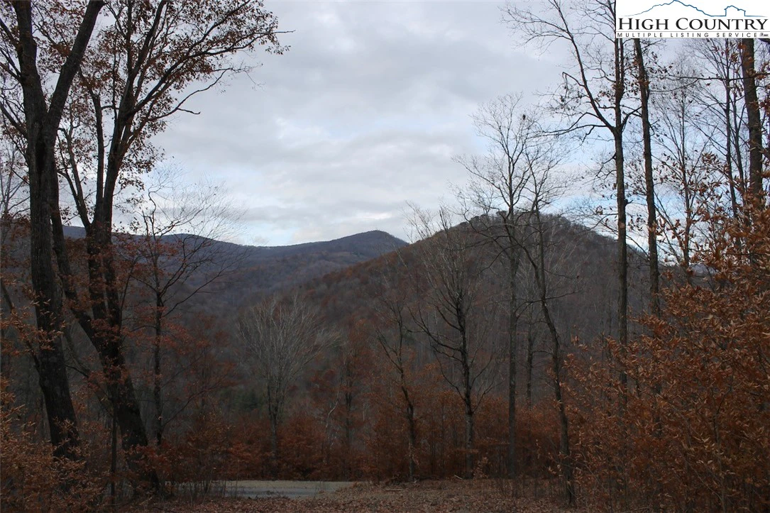 Image number 18 for the current listing