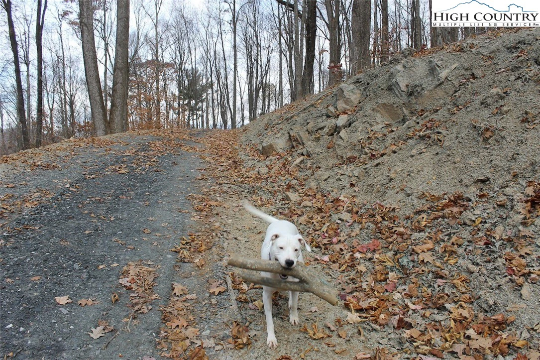 Image number 3 for the current listing