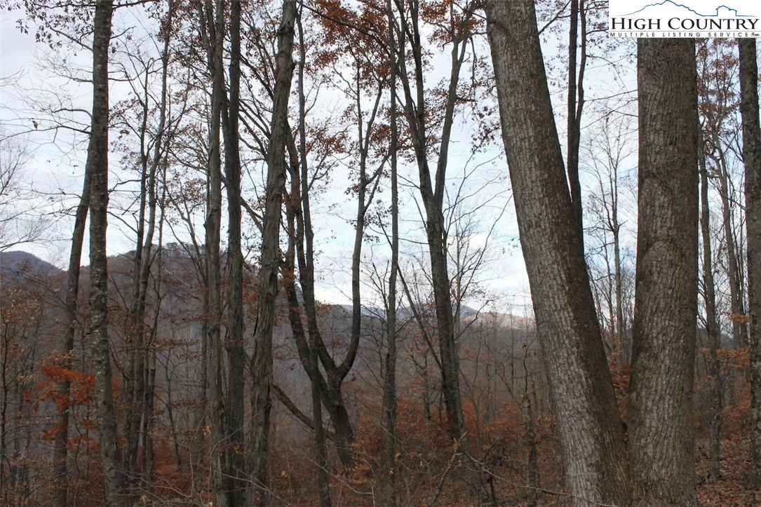 Image number 6 for the current listing