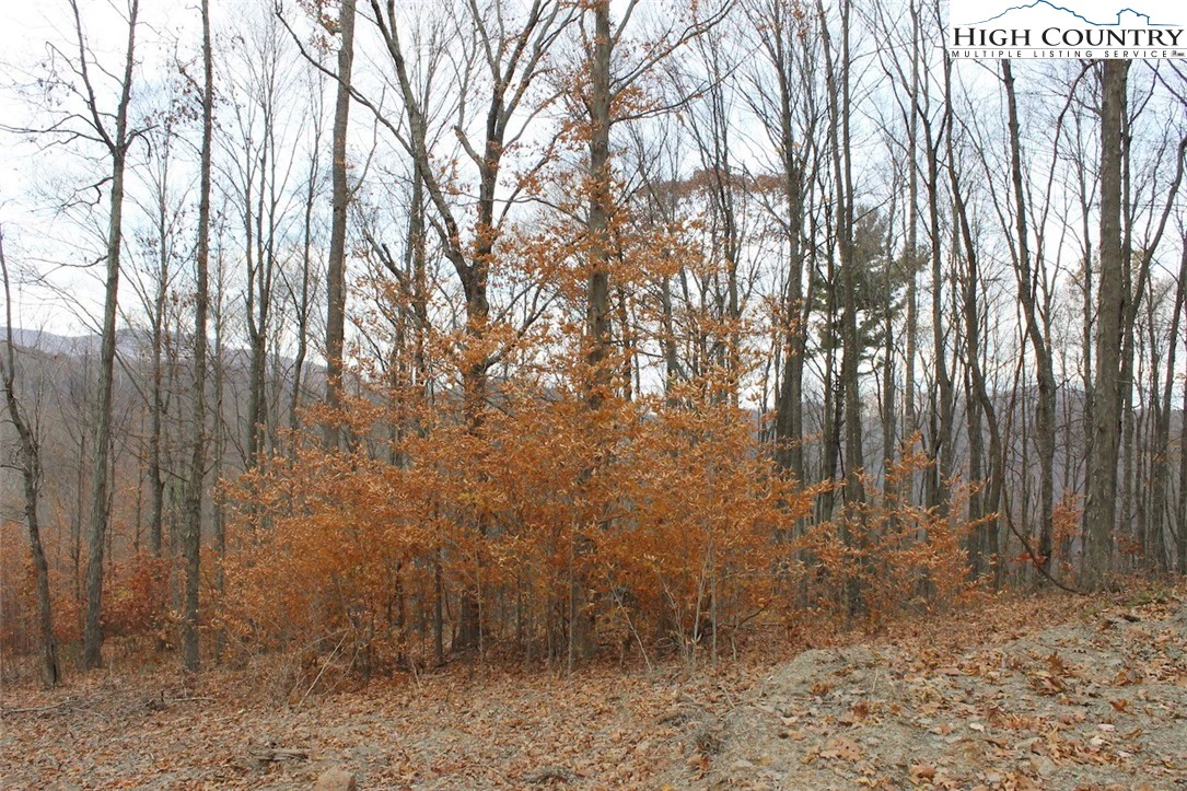 Image number 7 for the current listing