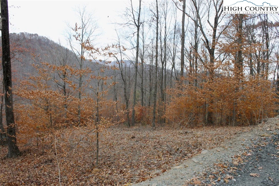 Image number 8 for the current listing