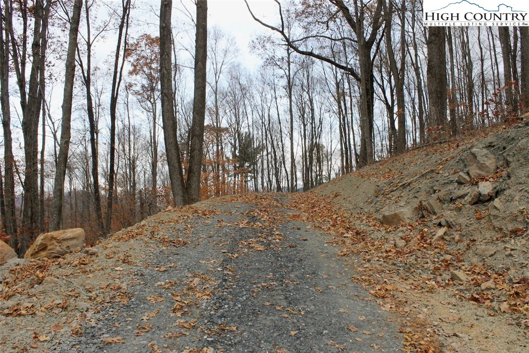 Image number 12 for the current listing