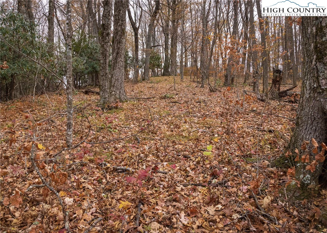 Image number 17 for the current listing