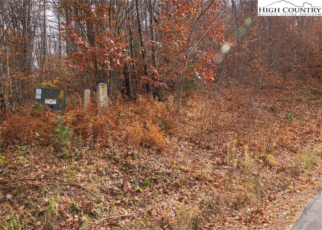 Image number 16 for the current listing