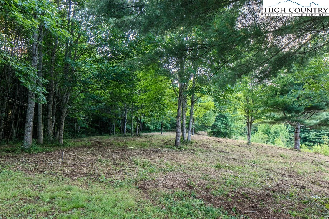 Image number 20 for the current listing