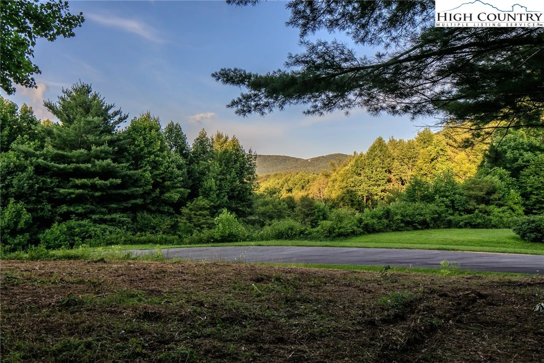 Image number 2 for the current listing